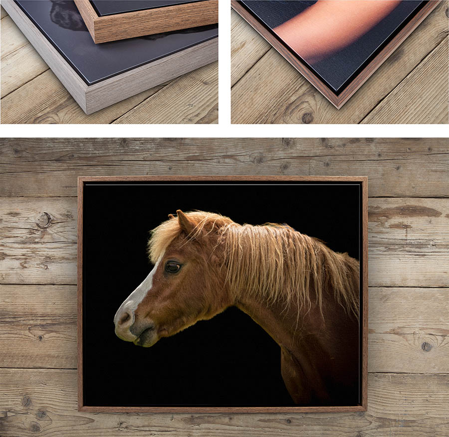 Canvas tray frame for pet photoshoot products