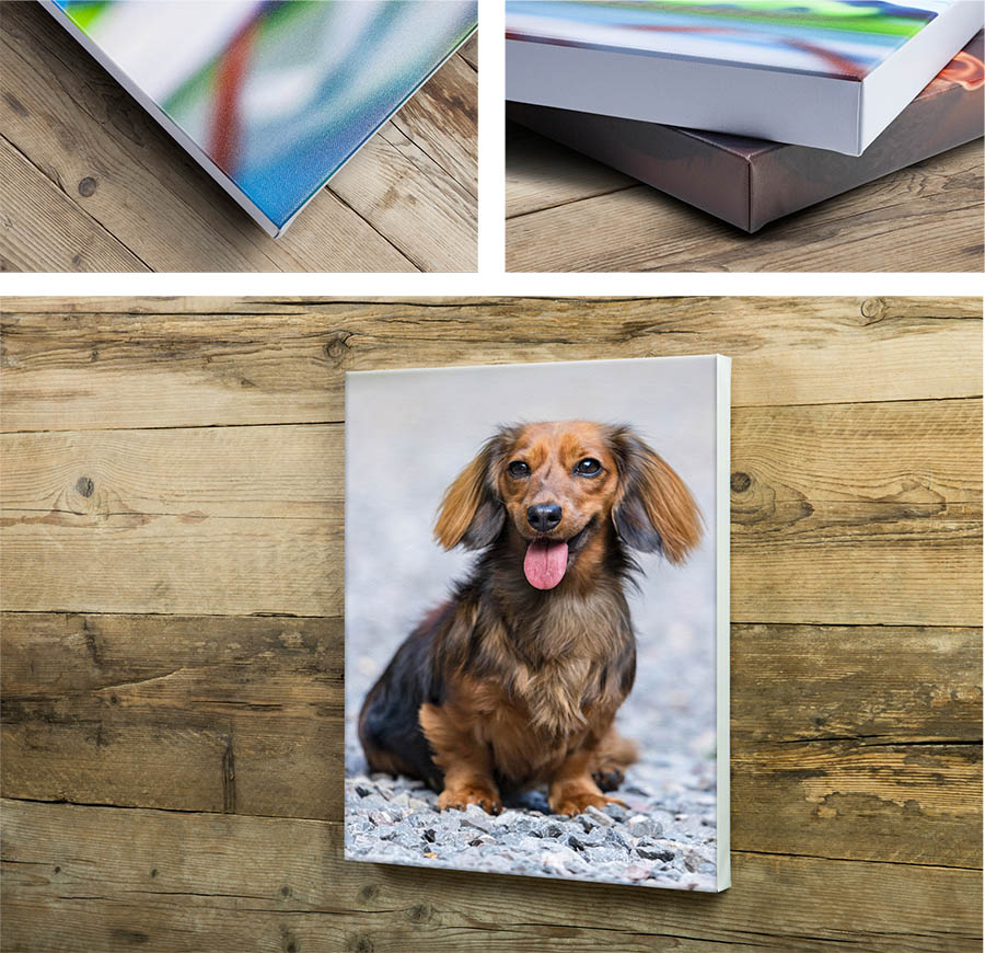 Canvas print wrap for Pet photoshoot products