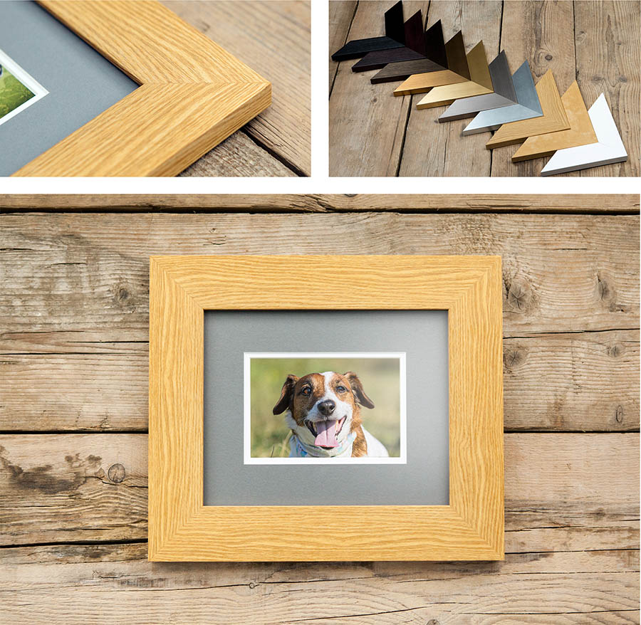 Loft Frame for Pet Photoshoot products