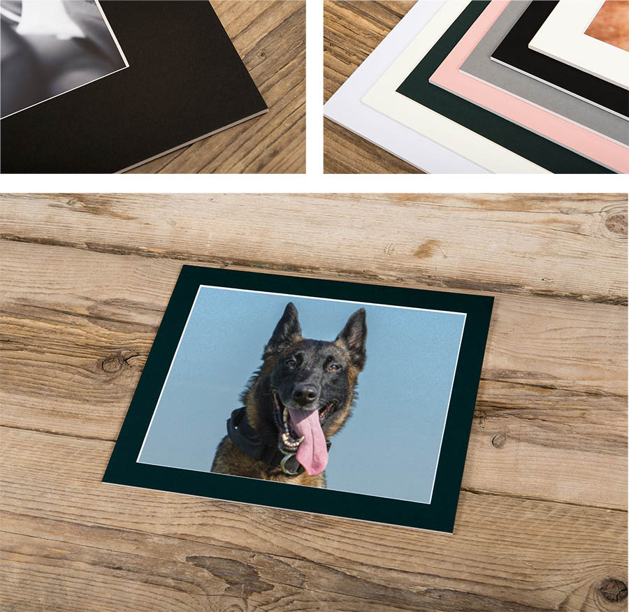 Matted prints for pet photoshoot products