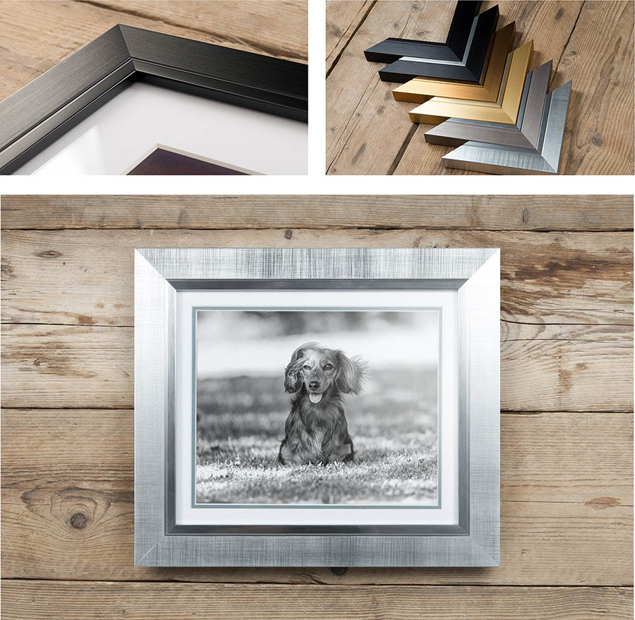 Oxford Frame for pet photoshoot products